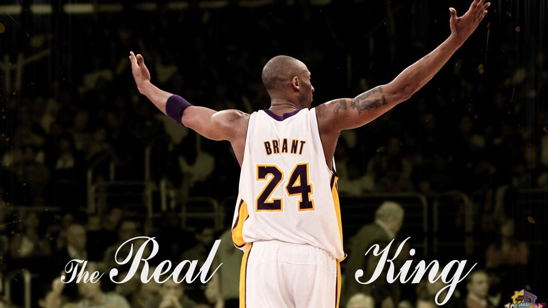 开云体育在线-_锦标赛期间的幕后工作:赛事组织者揭秘_,锦标赛项目