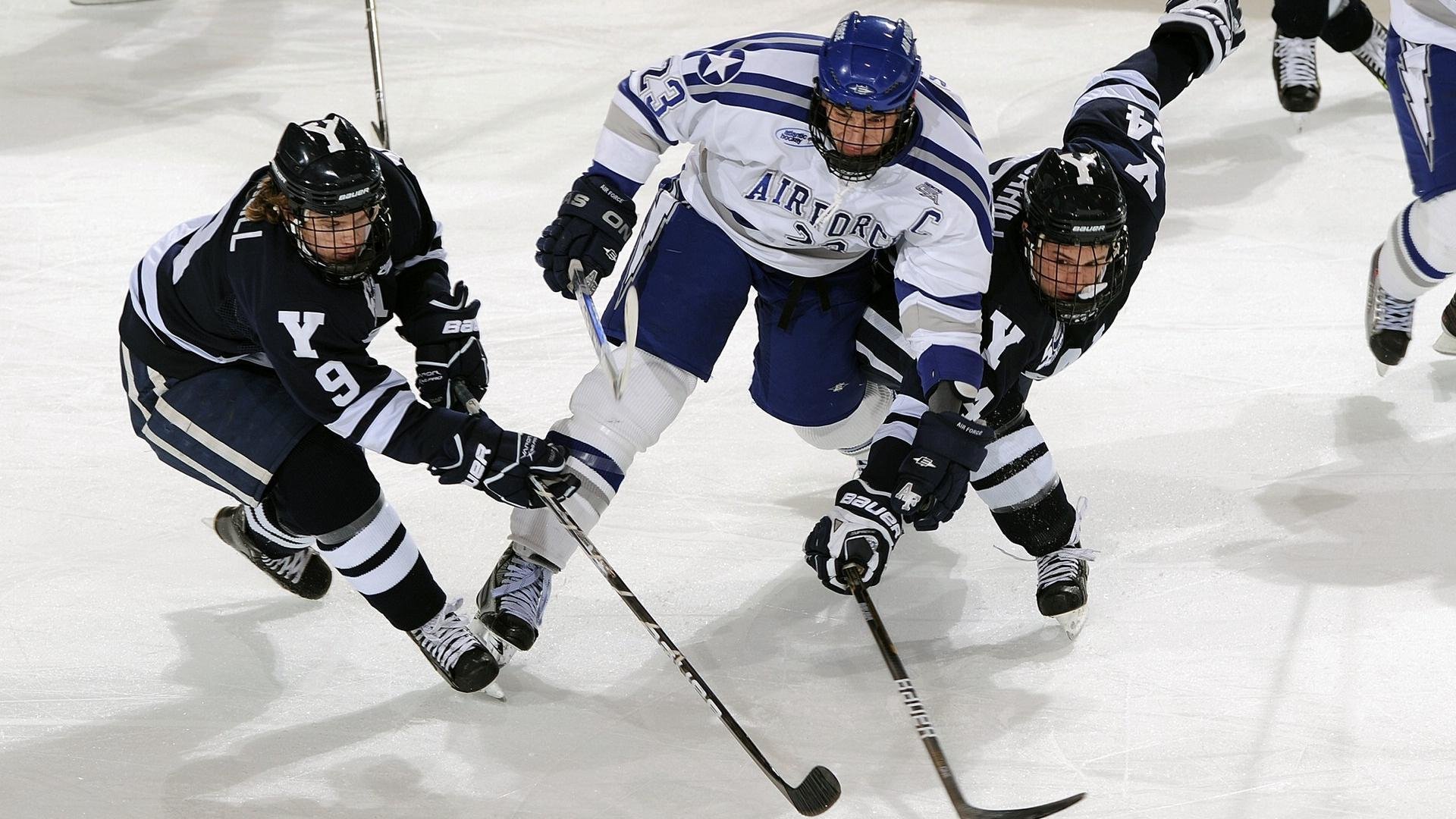 开云体育-退役球员的“第二人生”:他们转战哪些行业?,第二人生退役后还能工作吗